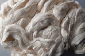 Cellulose Fibre